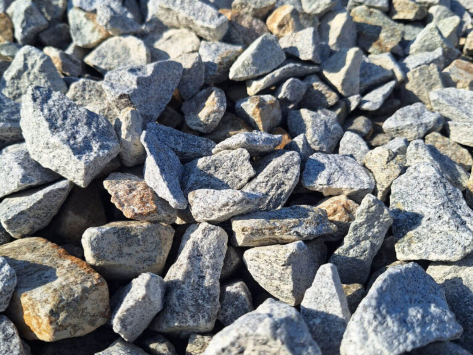 20250124_115524 20250124_115524