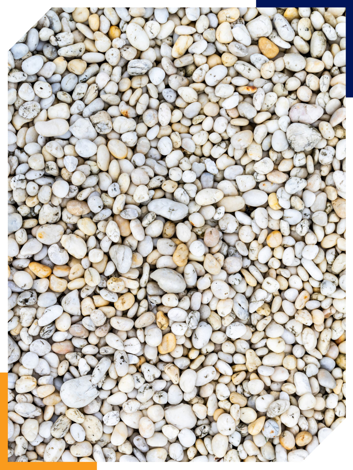 Nasze produkty Nasze produkty